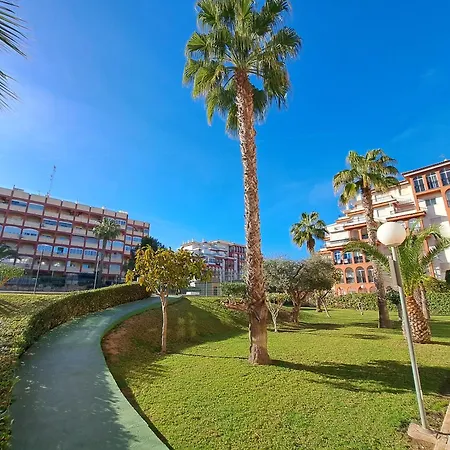 Brillante En La Mata Torrevieja